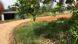 Land for sale in Rusa Milae, Pattani