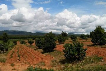 Land for sale in Phon Sung, Loei