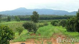 Land for sale in Phon Sung, Loei