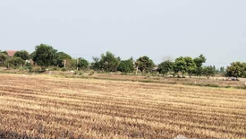 Land for sale in Si Samran, Suphan Buri