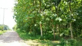 Land for sale in Nong Phikun, Nakhon Sawan