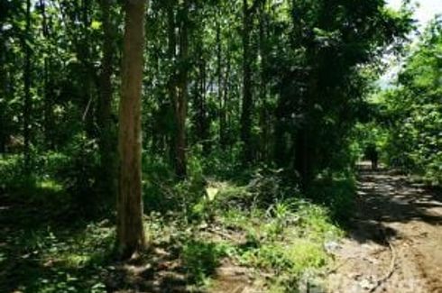 Land for sale in Nong Phikun, Nakhon Sawan