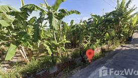 Land for sale in Palan, Maha Sarakham