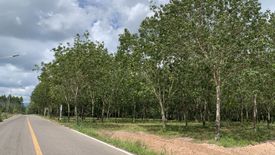 Land for sale in Thung Pho, Prachin Buri