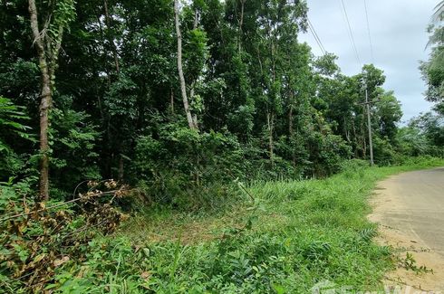 Land for sale in Ko Kho Khao, Phang Nga