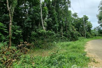 Land for sale in Ko Kho Khao, Phang Nga