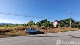 Land for sale in Mae Tam, Chiang Rai