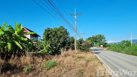 Land for sale in Mae Tam, Chiang Rai