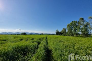 Land for sale in Mae Tam, Chiang Rai