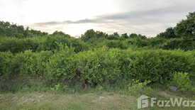 Land for sale in Anoru, Pattani