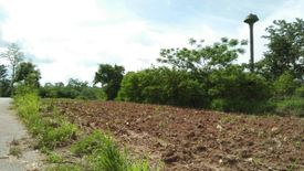 Land for sale in Pak Chong, Nakhon Ratchasima