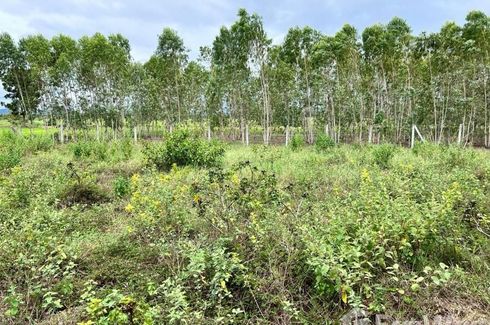 Land for sale in Rang Sali, Kanchanaburi