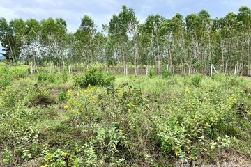 Land for sale in Rang Sali, Kanchanaburi