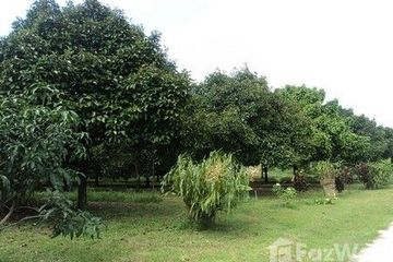 Land for sale in Bang Kaeo, Ranong