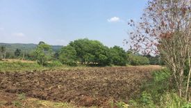 Land for sale in Mu Si, Nakhon Ratchasima