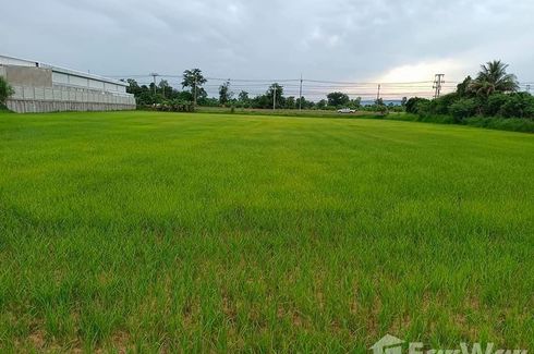 Land for sale in Sam Yaek, Yasothon