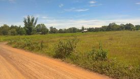 Land for sale in Sam Phrao, Udon Thani