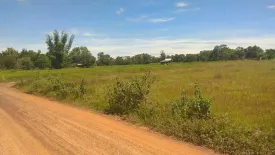 Land for sale in Sam Phrao, Udon Thani