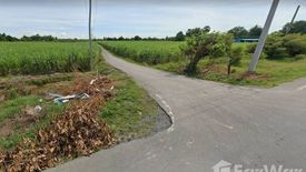 Land for sale in Nong Rathawat, Suphan Buri