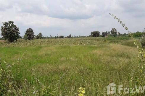 Land for sale in Bo Rang, Phetchabun