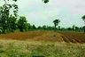 Land for sale in Bo Rang, Phetchabun