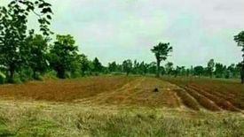 Land for sale in Bo Rang, Phetchabun