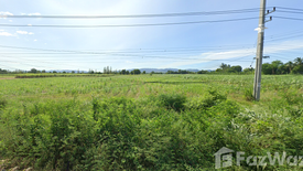 Land for sale in Nong Ri, Kanchanaburi