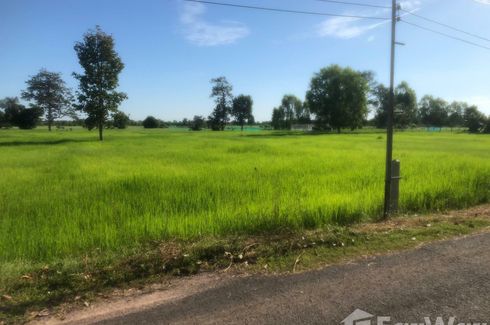 Land for sale in Samrong, Surin