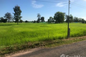 Land for sale in Samrong, Surin