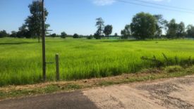 Land for sale in Samrong, Surin