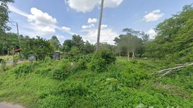 Land for sale in Makham Tia, Surat Thani