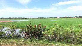 Land for sale in Rusa Milae, Pattani