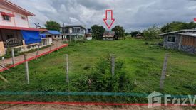 Land for sale in Kut Noi, Nakhon Ratchasima