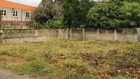 Land for sale in Pak Chong, Nakhon Ratchasima