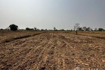 Land for sale in Nong Tat, Buriram