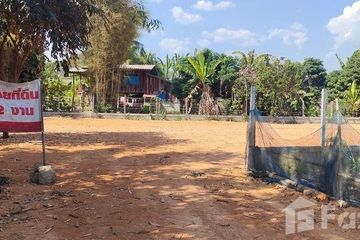 Land for sale in Pa O Don Chai, Chiang Rai