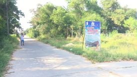 Land for sale in Bana, Pattani