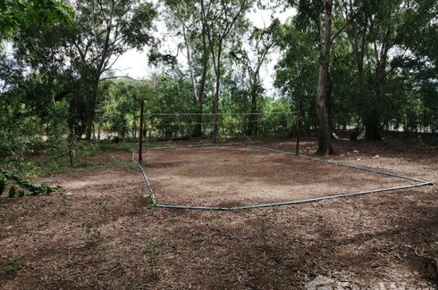 Land for sale in Khlong Yong, Nakhon Pathom