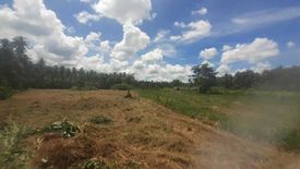 Land for sale in Thong Chai, Prachuap Khiri Khan