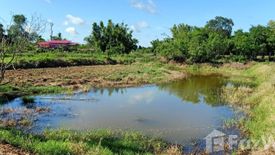 Land for sale in Nong Na Saeng, Chaiyaphum