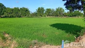 Land for sale in Nong Na Saeng, Chaiyaphum