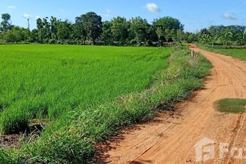 Land for sale in Nong Na Saeng, Chaiyaphum