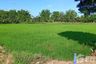 Land for sale in Nong Na Saeng, Chaiyaphum
