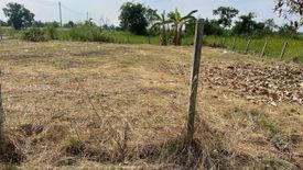 Land for sale in Nong No, Saraburi