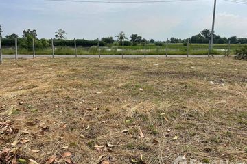 Land for sale in Nong No, Saraburi