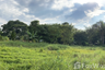 Land for sale in Sadiang, Phetchabun