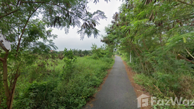 Land for sale in Ban Ko, Samut Sakhon