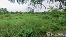 Land for sale in Ban Ko, Samut Sakhon