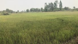 Land for sale in Khui Muang, Phitsanulok