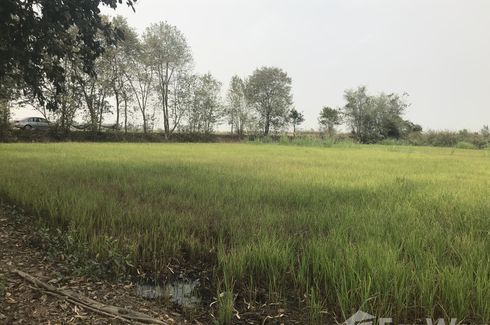 Land for sale in Khui Muang, Phitsanulok